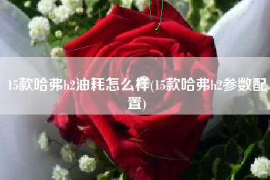 15款哈弗h2油耗怎么样(15款哈弗h2参数配置)