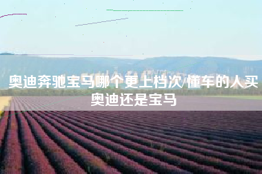 奥迪奔驰宝马哪个更上档次/懂车的人买奥迪还是宝马 奥迪奔驰宝马哪个更上档次/懂车的人买奥迪还是宝马