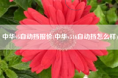 中华v5自动挡报价(中华v516自动挡怎么样)