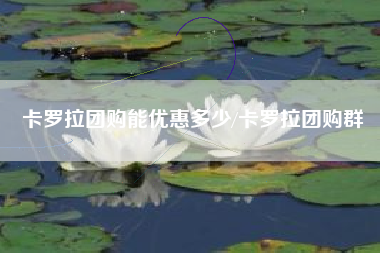 卡罗拉团购能优惠多少/卡罗拉团购群