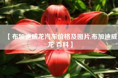 【布加迪威龙汽车价格及图片,布加迪威龙 百科】 【布加迪威龙汽车价格及图片,布加迪威龙 百科】