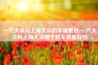 一汽大众与上海大众的车谁更好/一汽大众和上海大众哪个好车质量好些