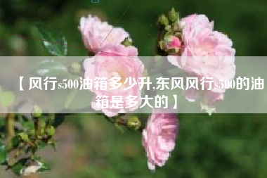 【风行s500油箱多少升,东风风行s500的油箱是多大的】 【风行s500油箱多少升,东风风行s500的油箱是多大的】