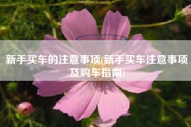 新手买车的注意事项(新手买车注意事项及购车指南)