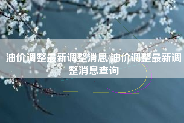 油价调整最新调整消息/油价调整最新调整消息查询