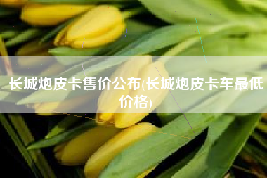 长城炮皮卡售价公布(长城炮皮卡车最低价格)