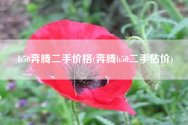 b50奔腾二手价格(奔腾b50二手估价)