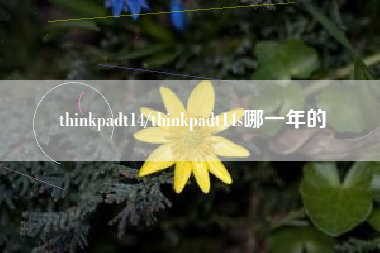 thinkpadt14/thinkpadt14s哪一年的 thinkpadt14/thinkpadt14s哪一年的