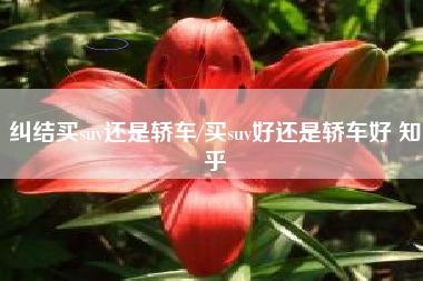 纠结买suv还是轿车/买suv好还是轿车好 知乎
