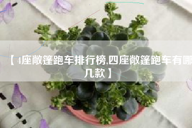 【4座敞篷跑车排行榜,四座敞篷跑车有哪几款】 【4座敞篷跑车排行榜,四座敞篷跑车有哪几款】