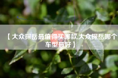 【大众探岳最值得买哪款,大众探岳哪个车型最好】 【大众探岳最值得买哪款,大众探岳哪个车型最好】