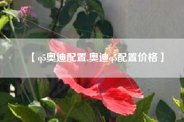 【q5奥迪配置,奥迪q5配置价格】