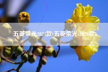 五菱荣光2024款(五菱荣光v2020款) 五菱荣光2024款(五菱荣光v2020款)