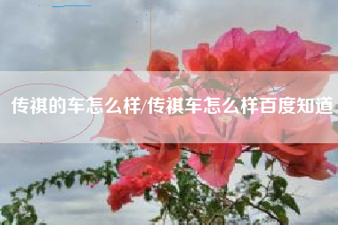 传祺的车怎么样/传祺车怎么样百度知道 传祺的车怎么样/传祺车怎么样百度知道