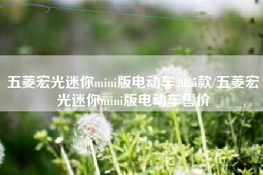 五菱宏光迷你mini版电动车2025款/五菱宏光迷你mini版电动车售价