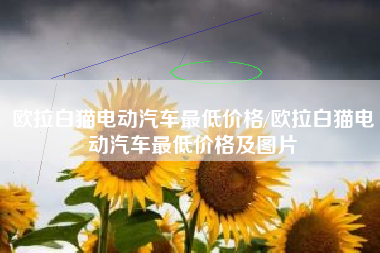 欧拉白猫电动汽车最低价格/欧拉白猫电动汽车最低价格及图片 欧拉白猫电动汽车最低价格/欧拉白猫电动汽车最低价格及图片