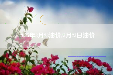 2025年3月23油价/3月23日油价