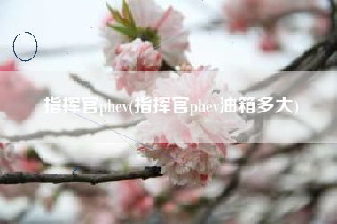 指挥官phev(指挥官phev油箱多大)