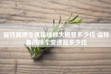 福特翼搏变速箱维修大概要多少钱/福特翼搏换个变速箱多少钱 福特翼搏变速箱维修大概要多少钱/福特翼搏换个变速箱多少钱