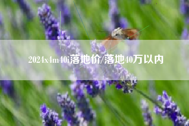 2024x4m40i落地价/落地40万以内 2024x4m40i落地价/落地40万以内