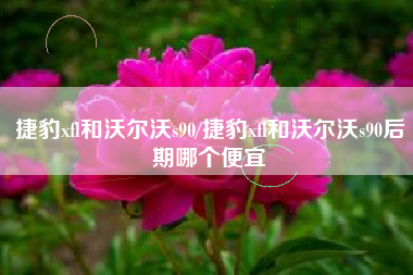 捷豹xfl和沃尔沃s90/捷豹xfl和沃尔沃s90后期哪个便宜 捷豹xfl和沃尔沃s90/捷豹xfl和沃尔沃s90后期哪个便宜