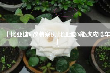 【比亚迪f6改装案例,比亚迪f6能改成啥车】
