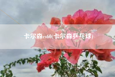 卡尔森cs60(卡尔森乒乓球)