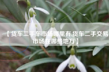 【货车二手车市场哪里有,货车二手交易市场在哪些地方】