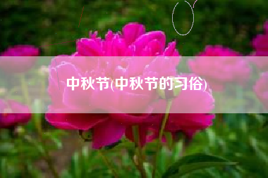中秋节(中秋节的习俗) 中秋节(中秋节的习俗)