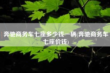 奔驰商务车七座多少钱一辆(奔驰商务车七座价钱)