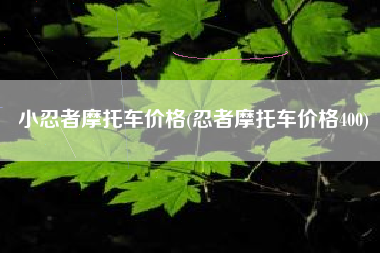小忍者摩托车价格(忍者摩托车价格400) 小忍者摩托车价格(忍者摩托车价格400)