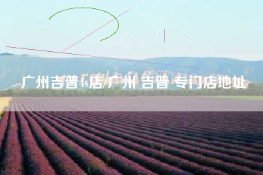 广州吉普4s店/广州 吉普 专门店地址