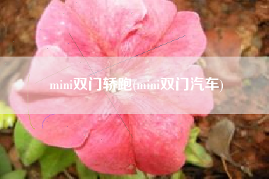mini双门轿跑(mini双门汽车)