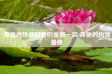 奔驰内饰最好看的是哪一款/奔驰的内饰最棒