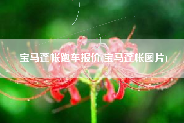 宝马蓬帐跑车报价(宝马蓬帐图片) 宝马蓬帐跑车报价(宝马蓬帐图片)