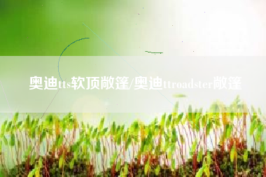 奥迪tts软顶敞篷/奥迪ttroadster敞篷 奥迪tts软顶敞篷/奥迪ttroadster敞篷