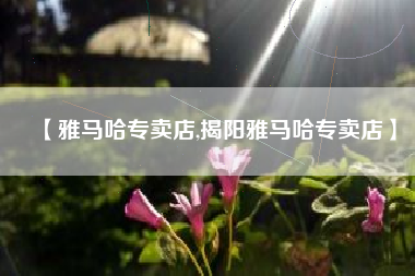 【雅马哈专卖店,揭阳雅马哈专卖店】