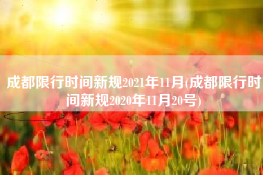 成都限行时间新规2021年11月(成都限行时间新规2020年11月20号)