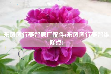 东风风行菱智原厂配件(东风风行菱智维修点) 东风风行菱智原厂配件(东风风行菱智维修点)