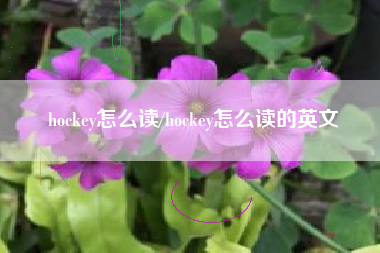 hockey怎么读/hockey怎么读的英文