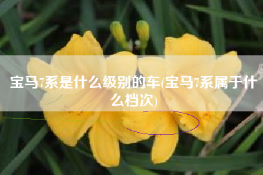 宝马7系是什么级别的车(宝马7系属于什么档次)
