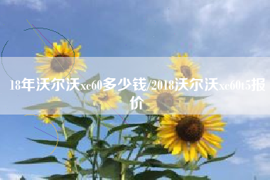 18年沃尔沃xc60多少钱/2018沃尔沃xc60t5报价