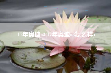 17年奥迪a3(17年奥迪a3怎么样)