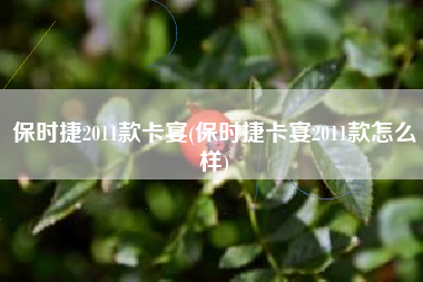 保时捷2011款卡宴(保时捷卡宴2011款怎么样)