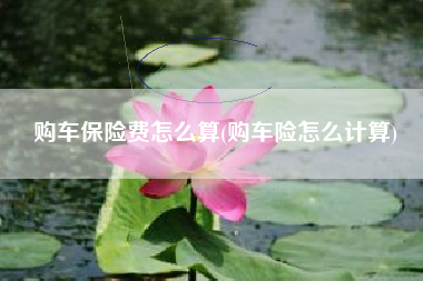 购车保险费怎么算(购车险怎么计算)