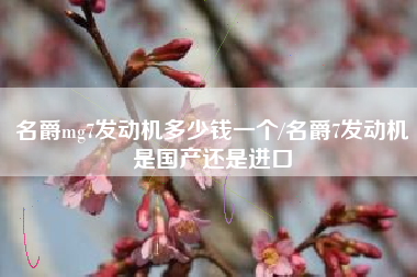 名爵mg7发动机多少钱一个/名爵7发动机是国产还是进口