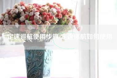 定速巡航使用步骤/定速巡航如何使用
