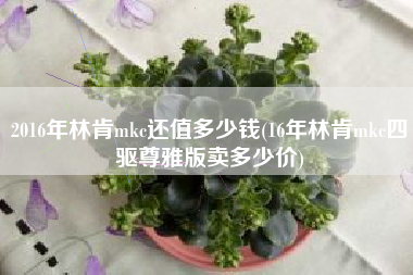 2016年林肯mkc还值多少钱(16年林肯mkc四驱尊雅版卖多少价)