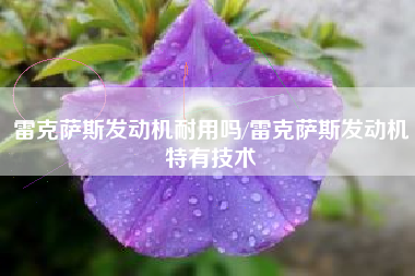 雷克萨斯发动机耐用吗/雷克萨斯发动机特有技术 雷克萨斯发动机耐用吗/雷克萨斯发动机特有技术