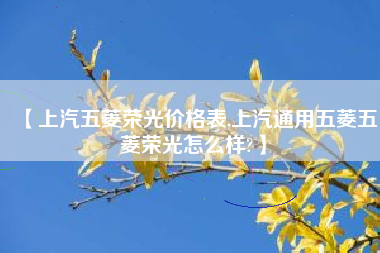【上汽五菱荣光价格表,上汽通用五菱五菱荣光怎么样?】 【上汽五菱荣光价格表,上汽通用五菱五菱荣光怎么样?】